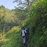 UB Forest Kembangkan Konsep Forest Healing: Sehatkan Masyarakat, Lestarikan Hutan