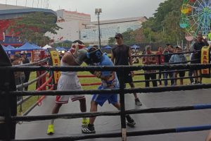 Tinju Kota Malang Kembali Bergeliat, Pertina Gelar Eksibisi dan Sparing Day 'Malang The Glory Land'