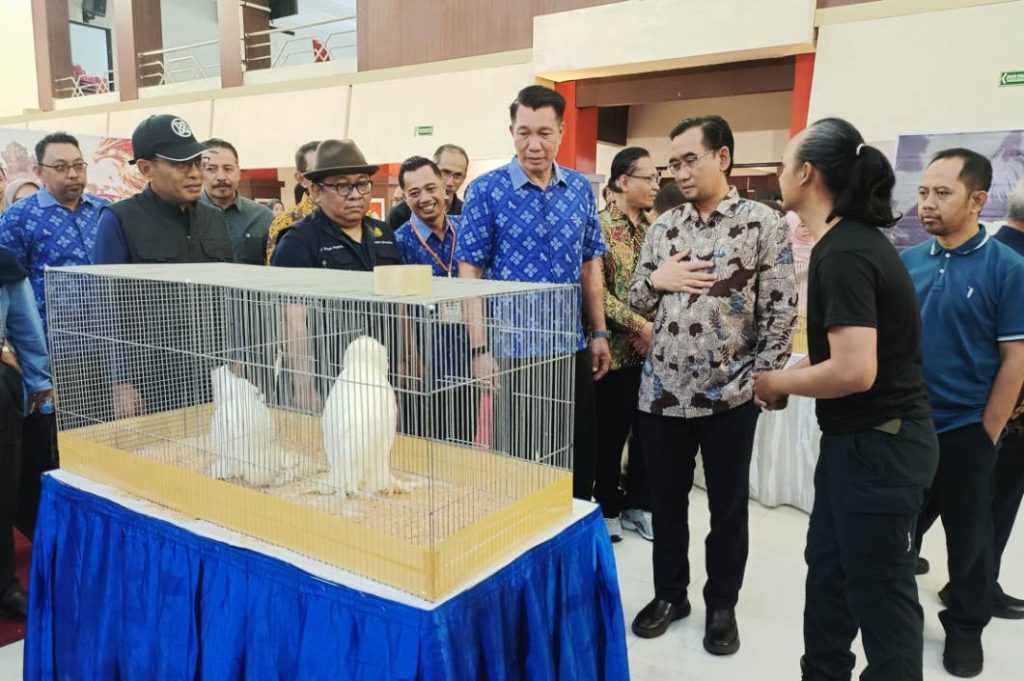 Ayam Hias hingga Kucing dan Satwa Eksotis Ramaikan Piala Rektor Prana Satwa Brawijaya 2026